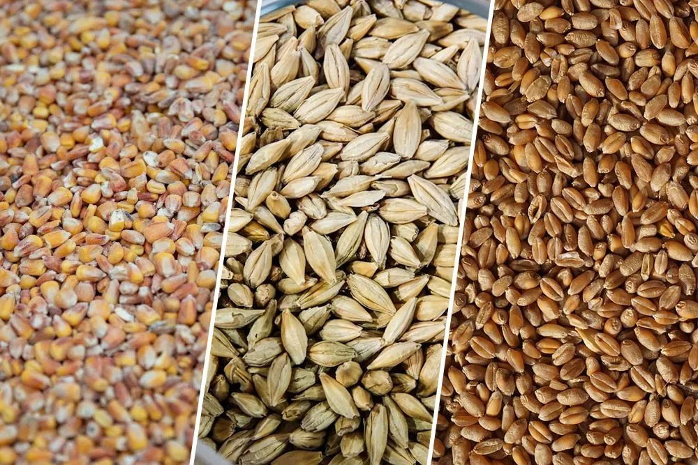пшеницу, ячмень, отруби  в Ижевске