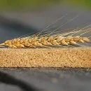 Затяжная почвенная засуха в Удмуртии привела к недобору урожая в сезоне 2021